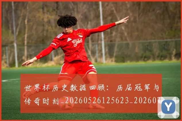 世界杯历史数据回顾:历届冠军与传奇时刻_20260526125623_20260715190415
